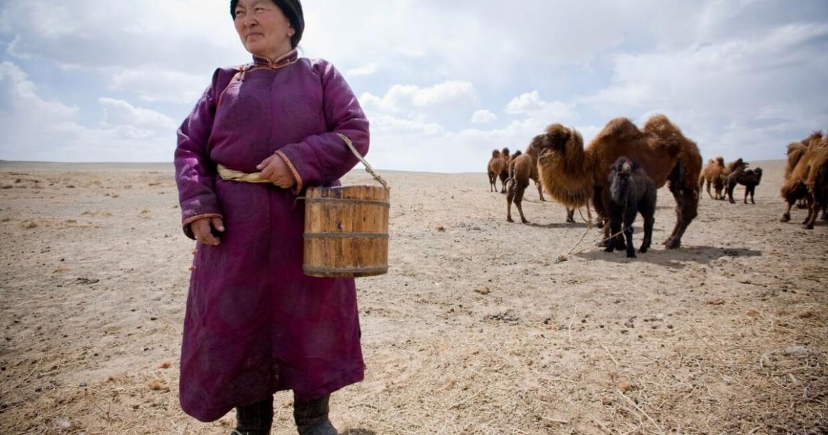Strategic Resilience Assessment in Mongolia